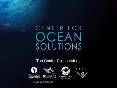 The Center Collaborators:. Focusing on: Ecosystem Health Climate Change and the Ocean The Land-Sea Interaction Fisheries and Ocean Education.