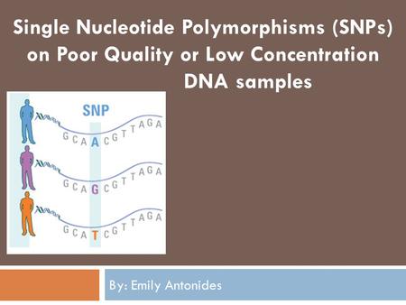 By: Emily Antonides Single Nucleotide Polymorphisms (SNPs) on Poor Quality or Low Concentration DNA samples.