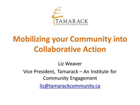 Mobilizing your Community into Collaborative Action Liz Weaver Vice President, Tamarack – An Institute for Community Engagement