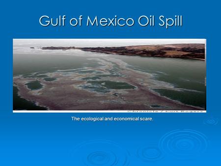 Gulf of Mexico Oil Spill The ecological and economical scare.