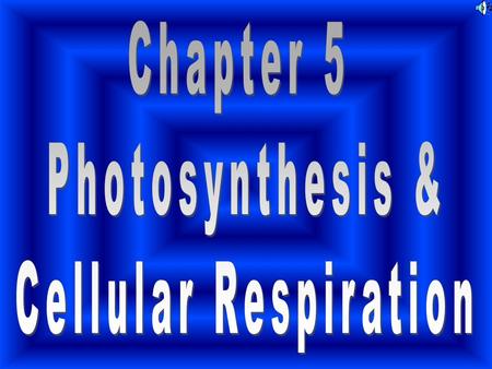 Chapter 5 Photosynthesis & Cellular Respiration.