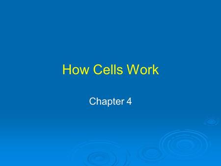 How Cells Work Chapter 4. Beer, Enzymes and Your Liver Alcohol is toxic Cells in liver break down alcohol to nontoxic compounds Breakdown is accelerated.