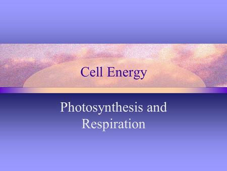 Cell Energy Photosynthesis and Respiration. Photosynthesis Process by which plants & certain other organisms use sunlight to make sugar Energy conversion-