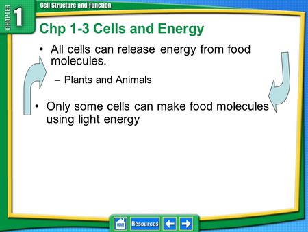 Chp 1-3 Cells and Energy All cells can release energy from food molecules. –Plants and Animals Only some cells can make food molecules using light energy.