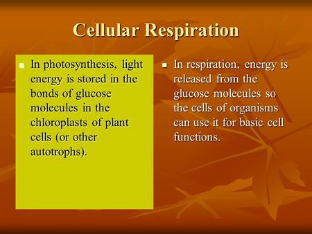 Cellular Respiration In photosynthesis, light energy is stored in the bonds of glucose molecules in the chloroplasts of plant cells (or other autotrophs).