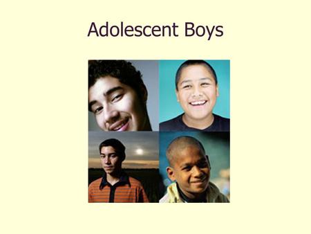 Adolescent Boys. Priority Areas Body Image Nutrition and obesity Substance Abuse Violence and safety.