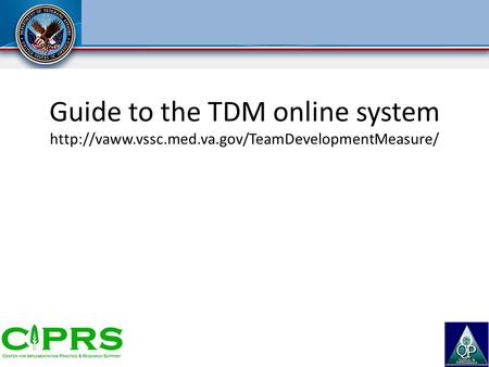 Guide to the TDM online system