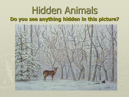 Hidden Animals Do you see anything hidden in this picture?