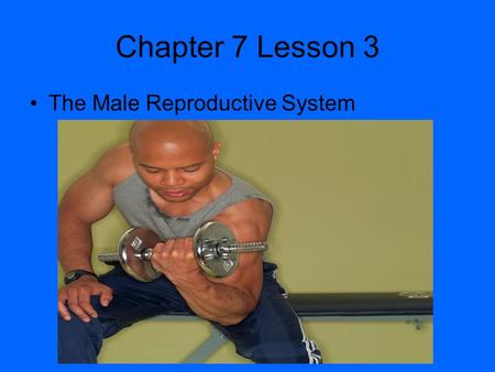 Chapter 7 Lesson 3 The Male Reproductive System The Human Reproductive System Reproduction – The process by which living organisms produce new individuals.