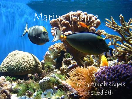 Marine Biome By: Savannah Rogers Period 6th. Summary Marine regions cover about three-fourths of the Earth's surface It includes oceans, coral reefs,