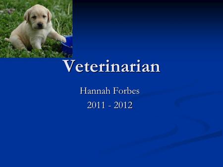 Veterinarian Hannah Forbes 2011 - 2012. Colleges I may attend North Carolina State University at Raleigh. North Carolina State University at Raleigh.