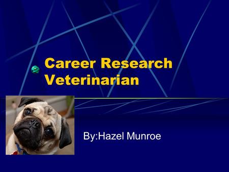 Career Research Veterinarian By:Hazel Munroe Veterinarian I chose veterinarian because I love animals. I love how you get to see lots of pets and wild.