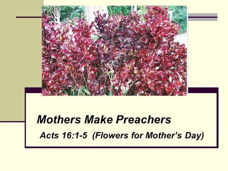 Mothers Make Preachers Acts 16:1-5 (Flowers for Mother’s Day)