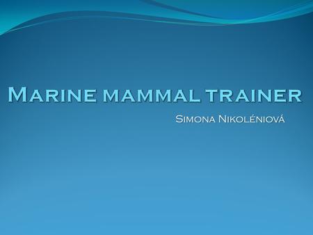Simona Nikoléniová. What does a marine mammal trainer really do? Train dolphins, whales, seals, sea lions, walruses and other marine mammals using a system.