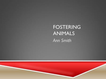 FOSTERING ANIMALS Ann Smith. PRODUCT AND STEPS TO BEGIN  Facilitator  Volunteer with an Animal Rescue Group or Humane Society  Prepare an area in my.