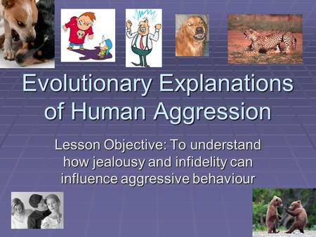 Evolutionary Explanations of Human Aggression