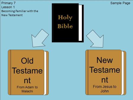 Holy Bible New Testame nt From Jesus to John Old Testame nt From Adam to Malachi Primary 7 Lesson 1 Becoming Familiar with the New Testament Sample Page.