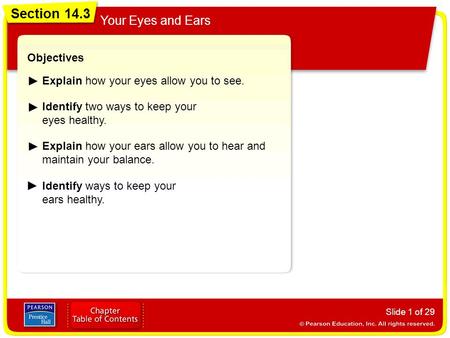 Section 14.3 Your Eyes and Ears Slide 1 of 29 Objectives Explain how your eyes allow you to see. Identify two ways to keep your eyes healthy. Section 14.3.