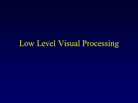 Low Level Visual Processing. Information Maximization in the Retina Hypothesis: ganglion cells try to transmit as much information as possible about the.