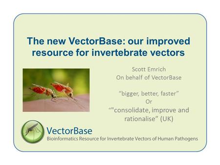 The new VectorBase: our improved resource for invertebrate vectors Scott Emrich On behalf of VectorBase “bigger, better, faster” Or “ consolidate, improve.