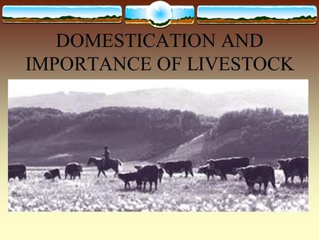 DOMESTICATION AND IMPORTANCE OF LIVESTOCK. LIVESTOCK DEFINED:  The term livestock is normally defined as animals raised to produce milk, meat, work,