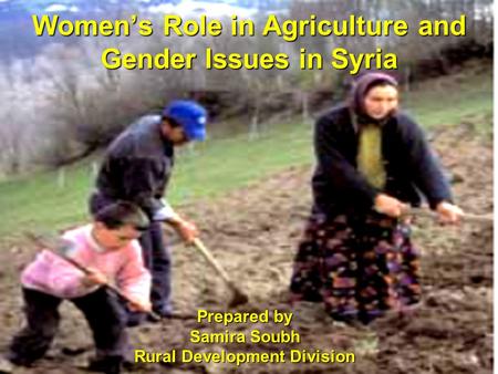 Women’s Role in Agriculture and Gender Issues in Syria Prepared by Samira Soubh Rural Development Division.