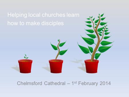 Chelmsford Cathedral – 1 st February 2014 Helping local churches learn how to make disciples.