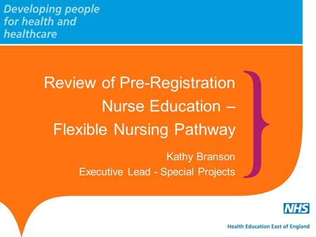 Review of Pre-Registration Nurse Education – Flexible Nursing Pathway