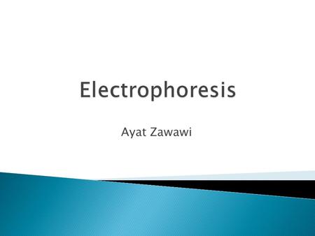 Electrophoresis Ayat Zawawi.