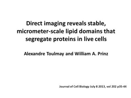 Direct imaging reveals stable, micrometer-scale lipid domains that segregate proteins in live cells Alexandre Toulmay and William A. Prinz Journal of Cell.