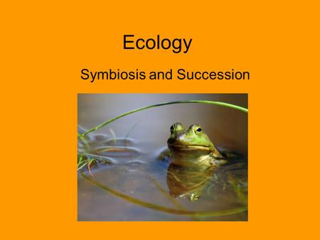 Ecology Symbiosis and Succession. Ecology What is ecology? The study of organisms and how they interact with each other and their environment (the ecosystem)