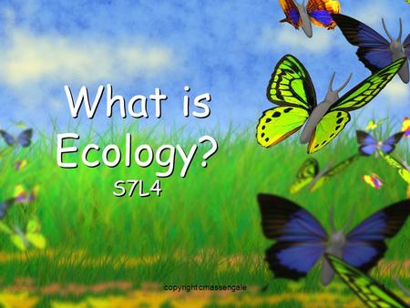 1 What is Ecology? S7L4 copyright cmassengale. 2 Organisms and Their Environment copyright cmassengale.