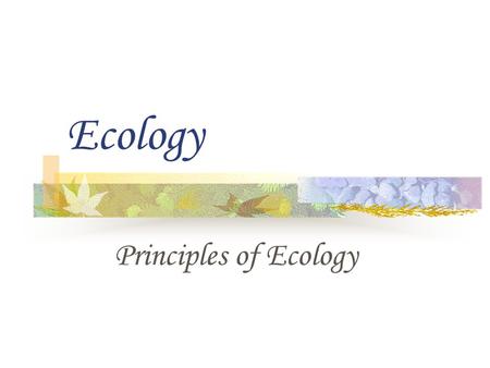 Ecology Principles of Ecology.