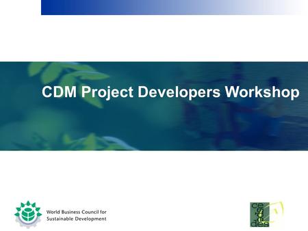 CDM Project Developers Workshop.  Baselines – what, types of baselines, baseline scenarios, baseline emissions.  Additionality – what, why, how  Establishing.