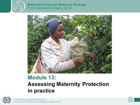 INTERNATIONAL LABOUR ORGANIZATION Conditions of Work and Employment Programme (TRAVAIL) 2012 Module 13: Assessing Maternity Protection in practice Maternity.