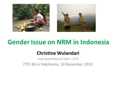 Gender Issue on NRM in Indonesia Christine Wulandari Asia Focal Point of CSAG – ITTO ITTC 46 in Yokohama, 14 December 2010.