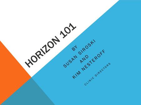 HORIZON 101 BY SUSAN SIROSKI AND KIM NESTEROFF CLINIC DIRECTORS.