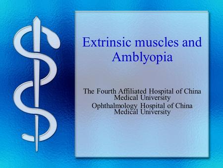 Extrinsic muscles and Amblyopia The Fourth Affiliated Hospital of China Medical University Ophthalmology Hospital of China Medical University.
