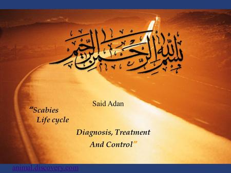 “ Scabies Life cycle Diagnosis, Treatment And Control” Said Adan animal.discovery.com.