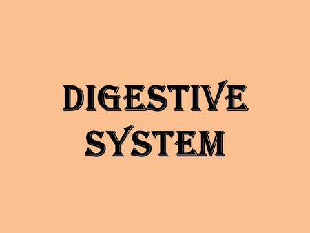 Digestive system. Structure Abdominal Quadrants.