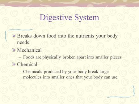 Digestive System Breaks down food into the nutrients your body needs Mechanical –Foods are physically broken apart into smaller pieces Chemical –Chemicals.