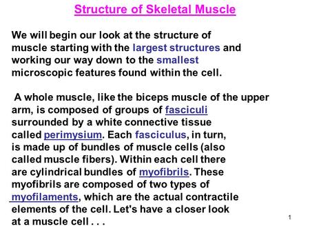 1 Structure of Skeletal Muscle We will begin our look at the structure of muscle starting with the largest structures and working our way down to the smallest.