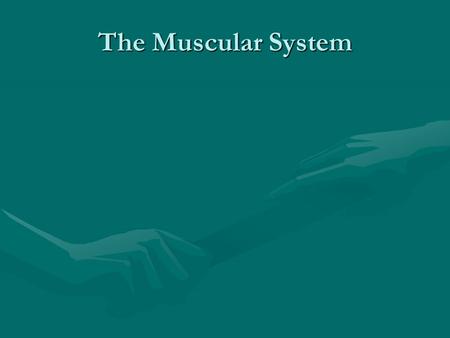 The Muscular System. To return to the chapter summary click escape or close this document.