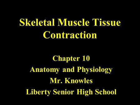 Skeletal Muscle Tissue Contraction Chapter 10 Anatomy and Physiology Mr. Knowles Liberty Senior High School.