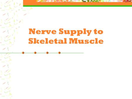 Nerve Supply to Skeletal Muscle. Nerve Supply The outside of the nerve plasma membranes contain a slightly positive charge (Na+). The inside of this same.