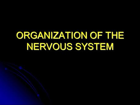 ORGANIZATION OF THE NERVOUS SYSTEM. FUNCTIONS SENSORY SENSORY MOTOR MOTOR COGNITIVE COGNITIVE.