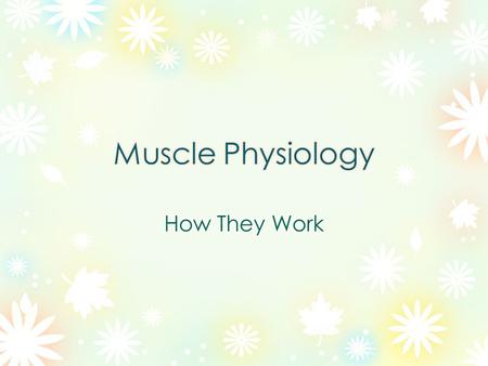 Muscles are made of many individual cells called fibers The Fascia connects the individual fibers to form a muscle and it separates muscles from each.