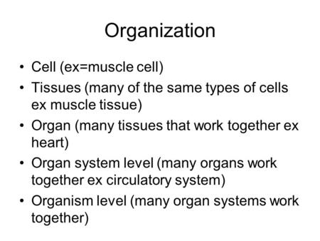Organization Cell (ex=muscle cell) Tissues (many of the same types of cells ex muscle tissue) Organ (many tissues that work together ex heart) Organ system.