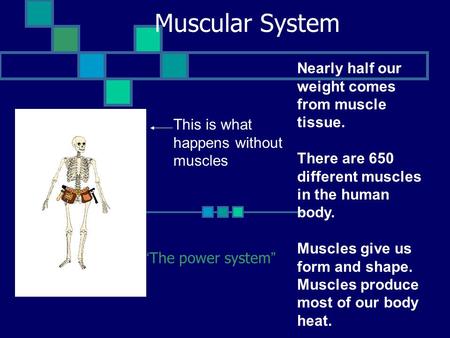Muscular System “The power system” This is what happens without muscles Nearly half our weight comes from muscle tissue. There are 650 different muscles.