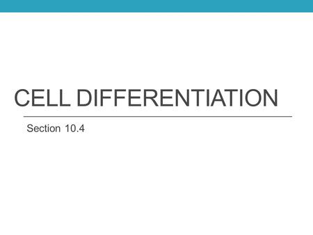 Cell Differentiation Section 10.4.